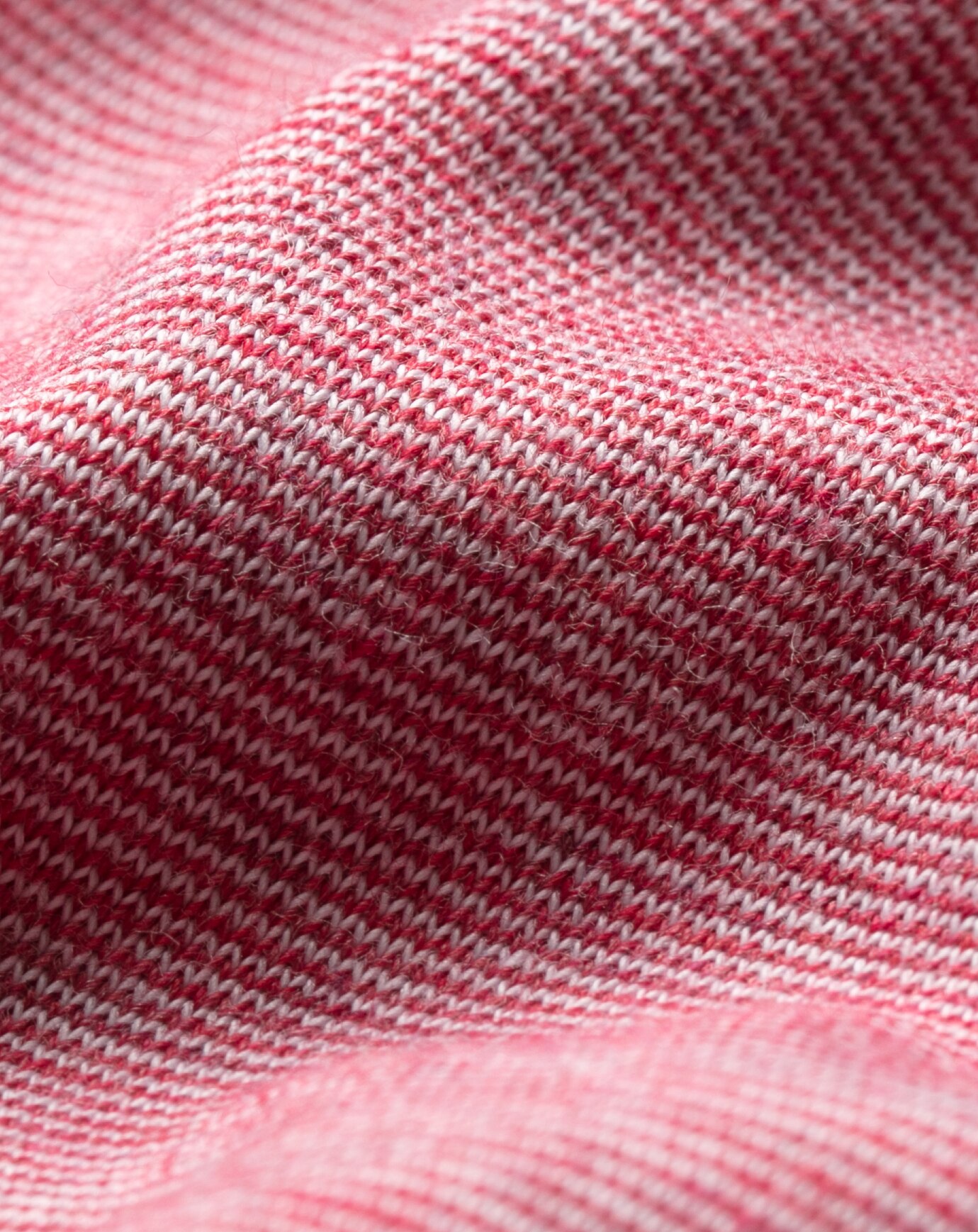 THE ZINNA POLO Image Thumbnail 5
