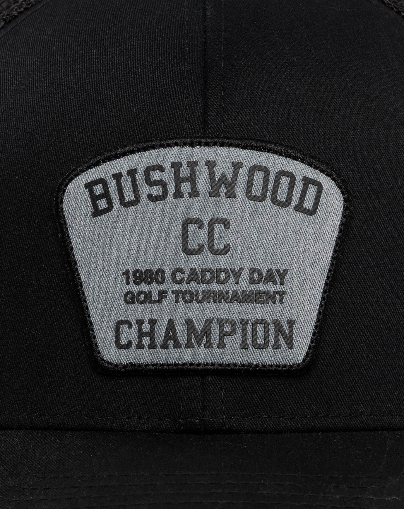 PRESIDENTIAL SUITE SNAPBACK HAT Image Thumbnail 3