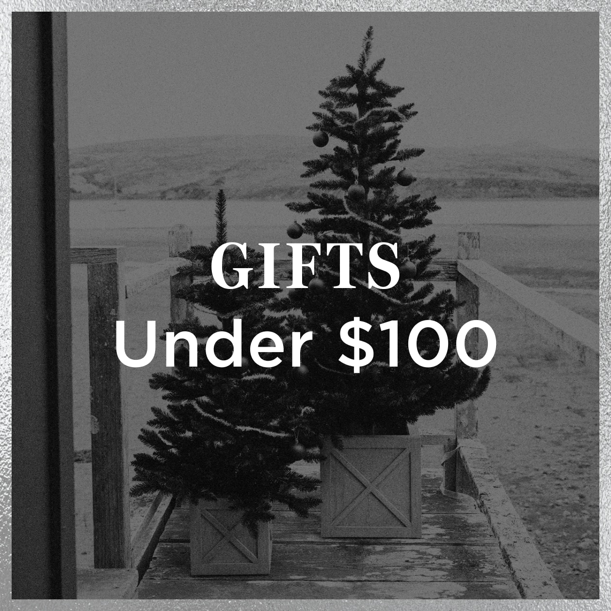Gifts Under $100