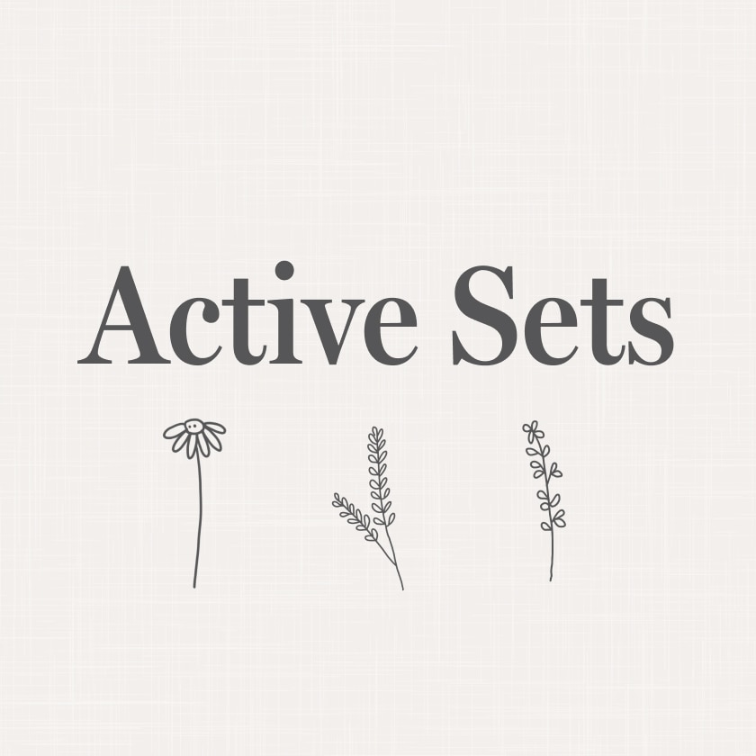 Active Sets