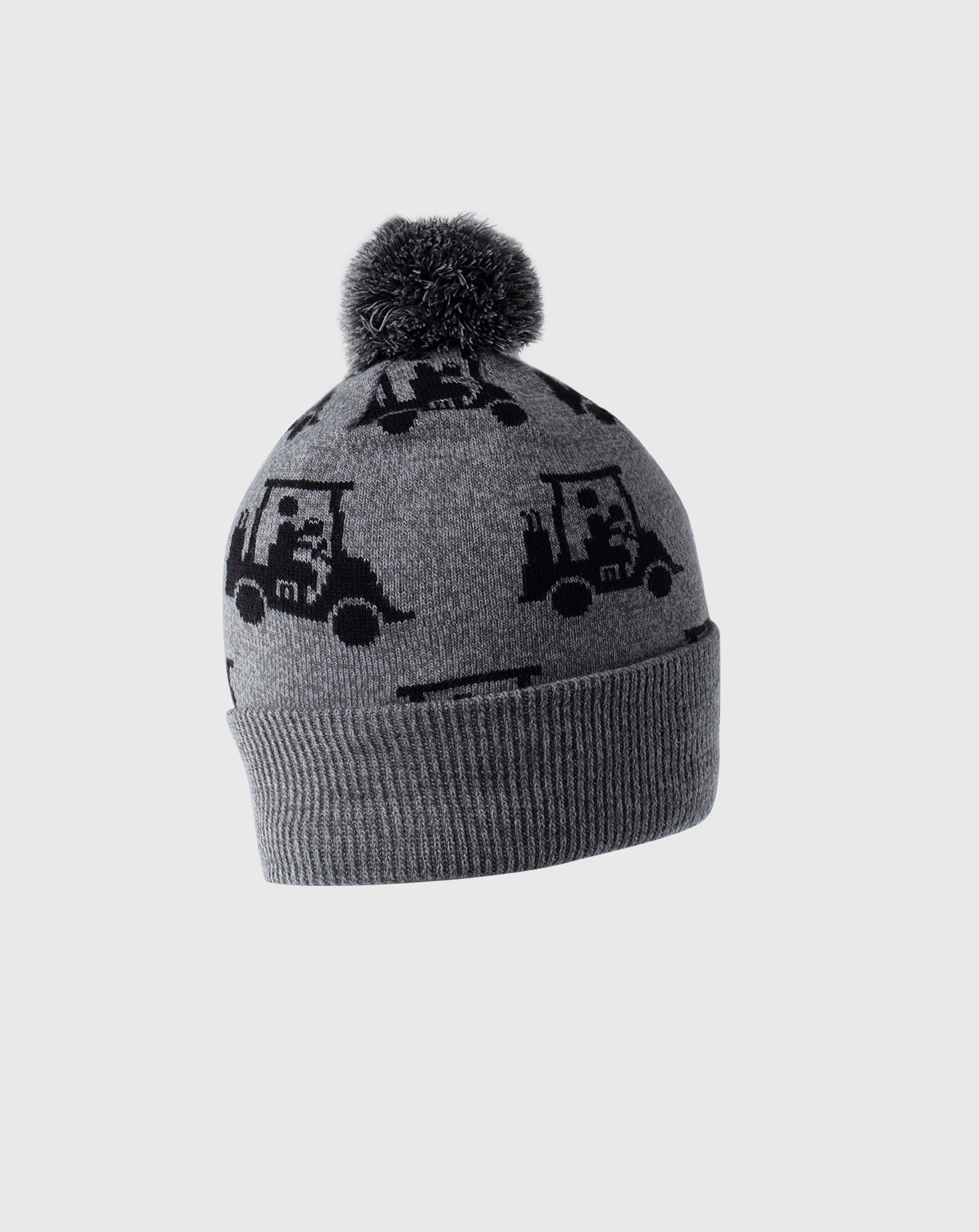 SWINGLES BEANIE Image Thumbnail 3