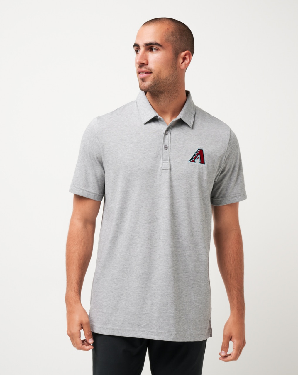 ARIZONA DIAMONDBACKS THE ZINNA POLO 0
