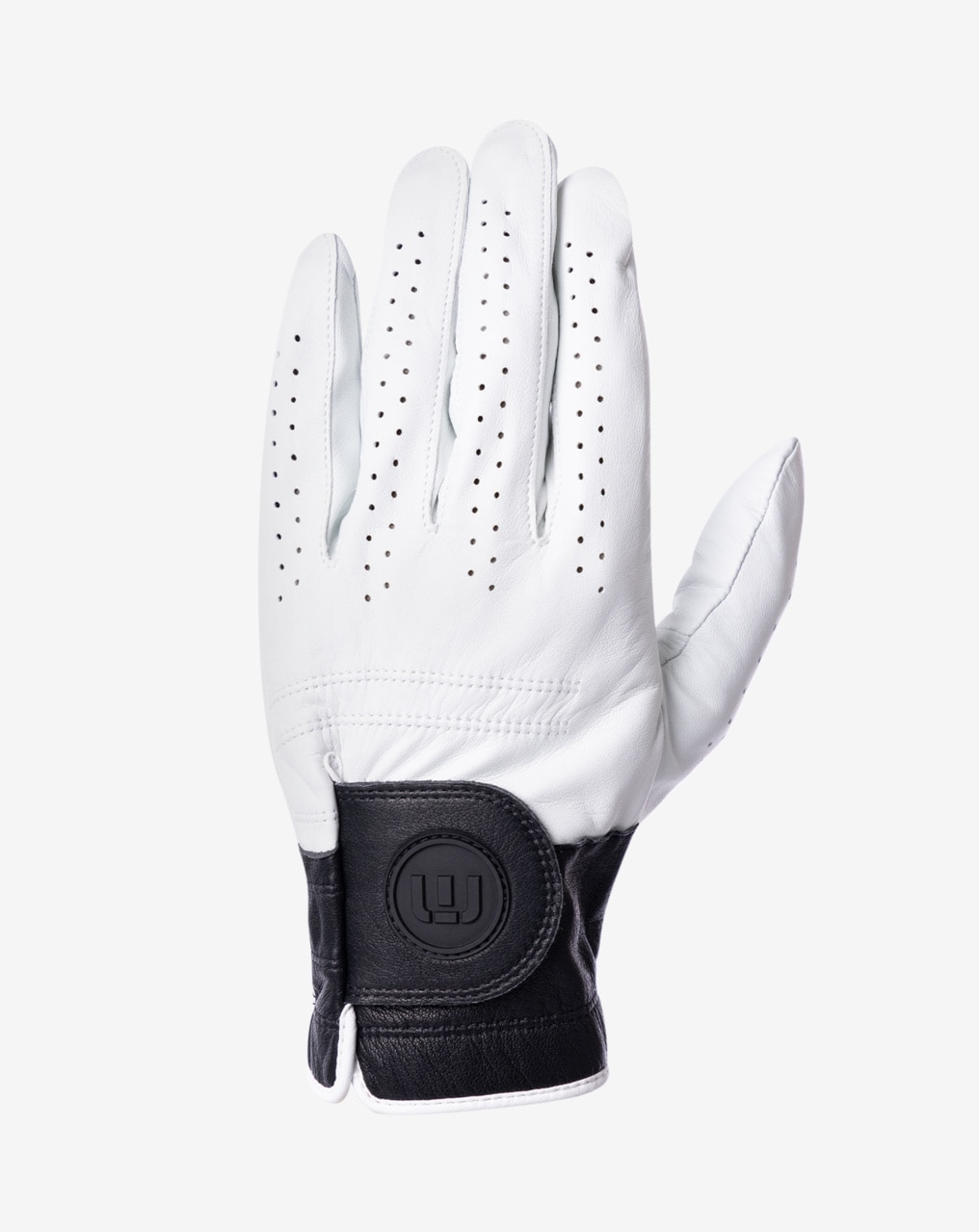 PREMIER 2.0 GOLF GLOVE 1