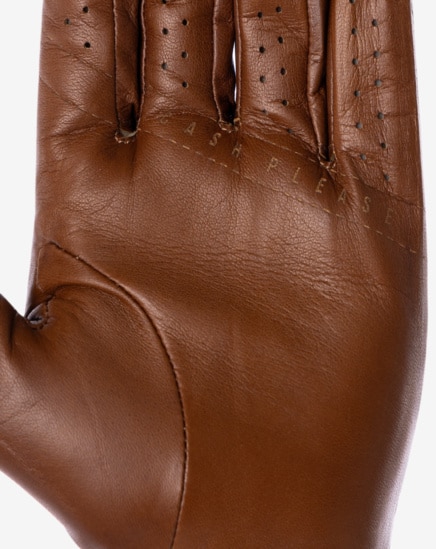 PREMIER 2.0 GOLF GLOVE Image Thumbnail 3